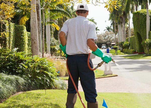 About Niota IL Pest Control